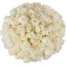 Inspiraterra - 100 Long Stem Roses - Fresh Cut. Delivered at Your Door Within 4 Business Days. (Bulk) (White) Inspiraterra - 100 Long Stem Roses - Fresh Cut. Delivered at Your Door Within 4 Business Days. (Bulk) (White)
