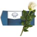 Inspiraterra - 100 Long Stem Roses - Fresh Cut. Delivered at Your Door Within 4 Business Days. (Bulk) (White) Inspiraterra - 100 Long Stem Roses - Fresh Cut. Delivered at Your Door Within 4 Business Days. (Bulk) (White)